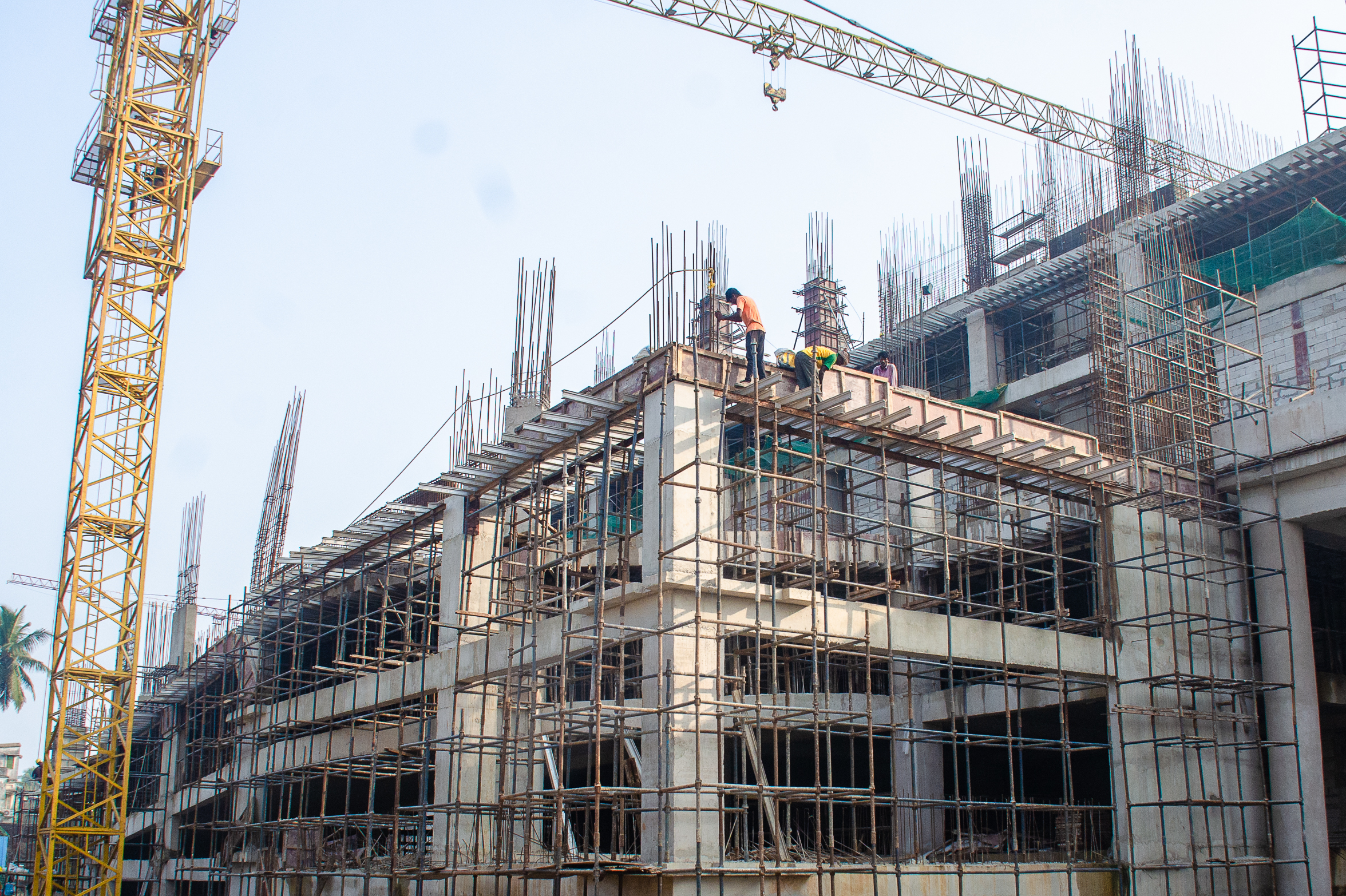 Ongoing Projects