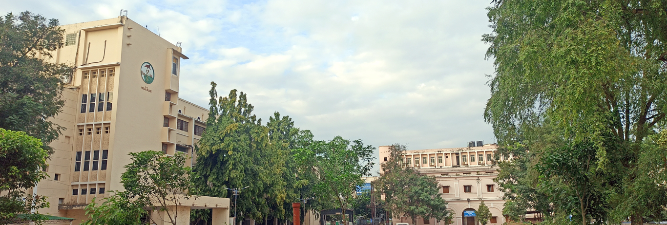 Banner_4