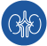 Nephrology