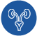 Urology & Renal Transplantation